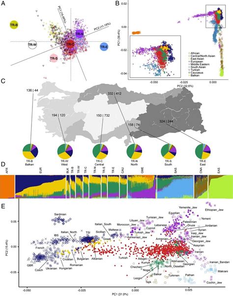 turkish ancestry dna|Turkish genetic study shows high degree of variation .